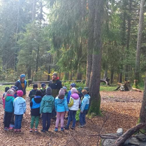 Kinder im Wald beim Projekt "Natopia"