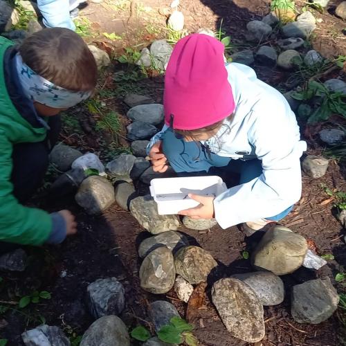 Kinder im Wald beim Projekt "Natopia"