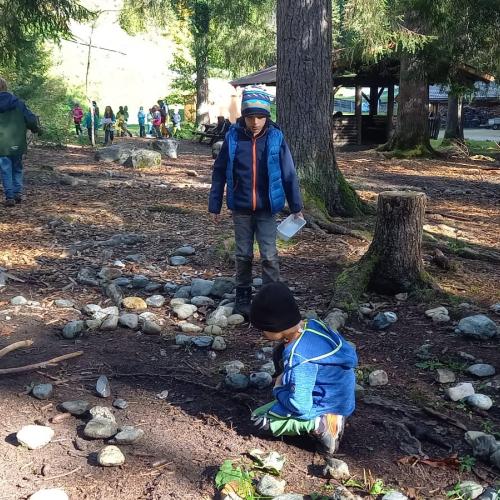 Kinder im Wald beim Projekt "Natopia"