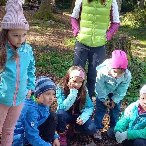 Kinder im Wald beim Projekt "Natopia"