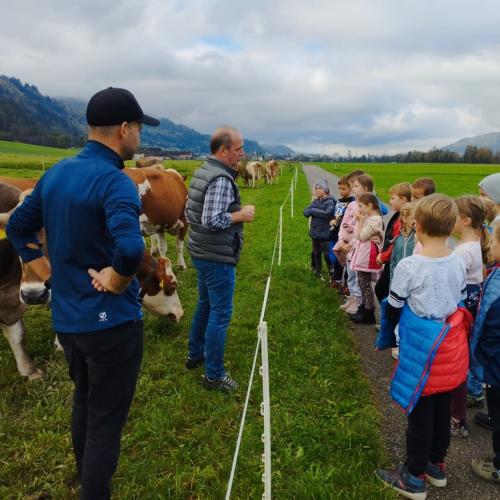 2b am Bauernhof