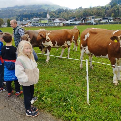 2b am Bauernhof