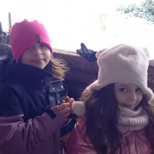 Naturtag im Halltal 2A
