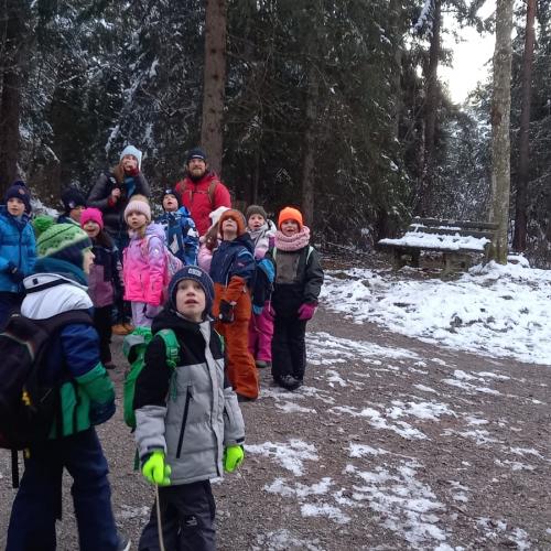 Naturtag im Halltal 2A