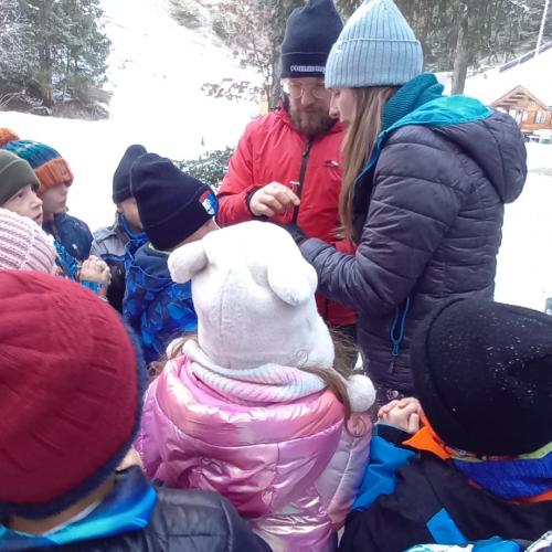 Naturtag im Halltal 2A