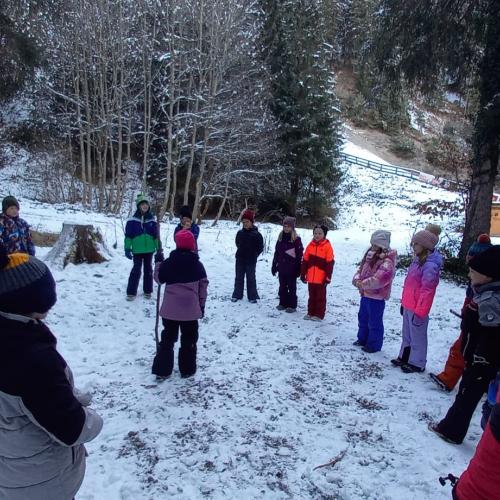Naturtag im Halltal 2A