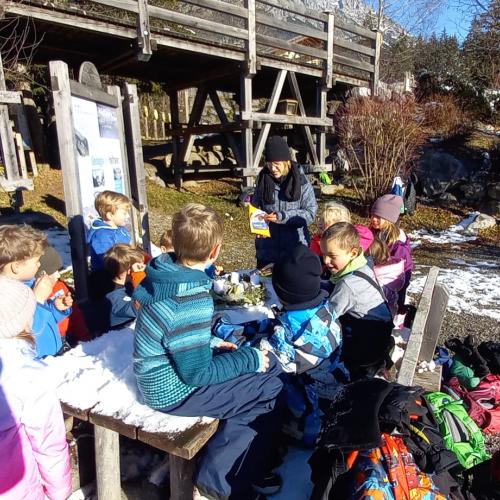 Naturtag im Halltal 2A