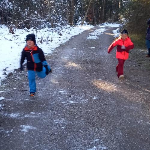 Naturtag im Halltal 2A
