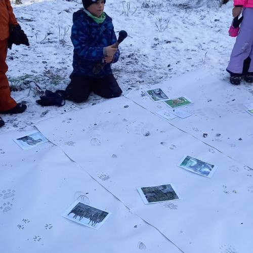 Naturtag im Halltal 2A
