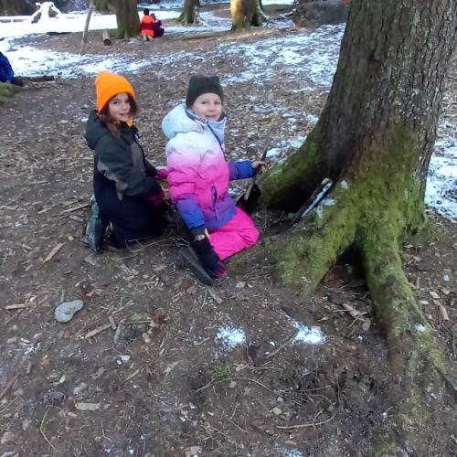 Naturtag im Halltal 2A