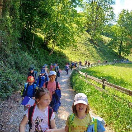 Waldtag 1b und 4b