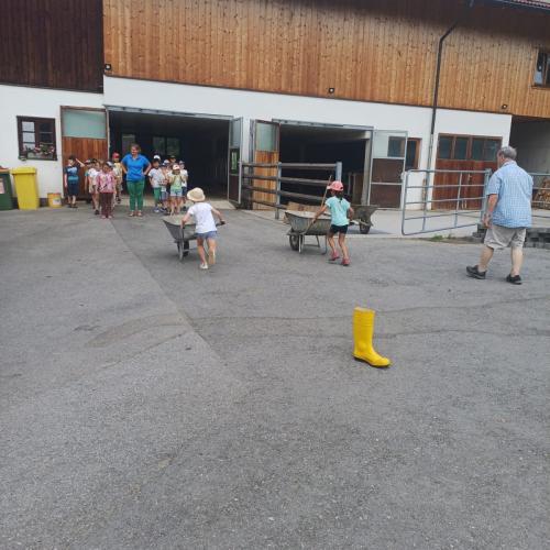 Schule am Bauernhof - Pungghof in Absam