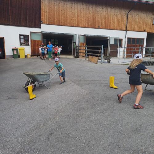 Schule am Bauernhof - Pungghof in Absam