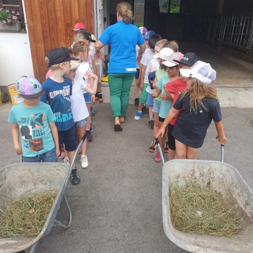 Schule am Bauernhof - Pungghof in Absam