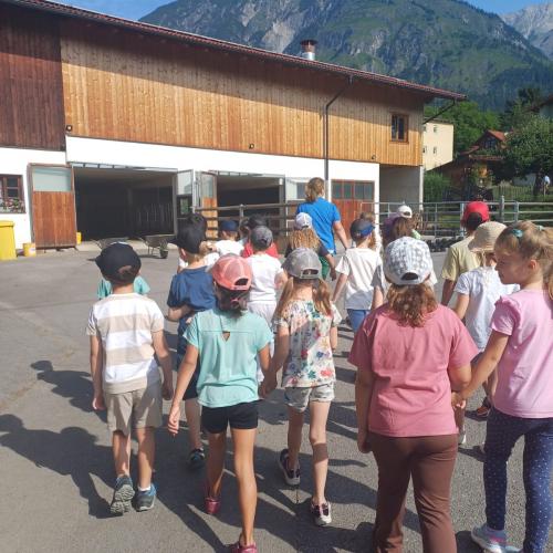 Schule am Bauernhof - Pungghof in Absam