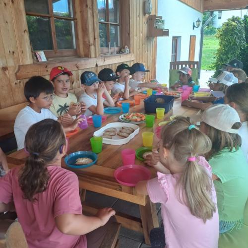 Schule am Bauernhof - Pungghof in Absam