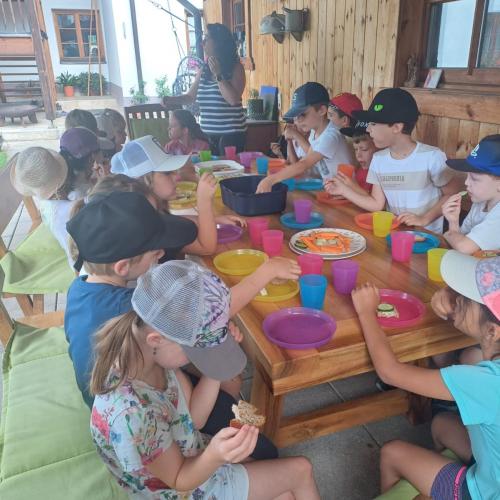 Schule am Bauernhof - Pungghof in Absam