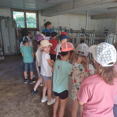 Schule am Bauernhof - Pungghof in Absam