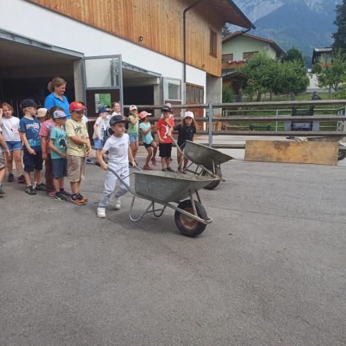 Schule am Bauernhof - Pungghof in Absam