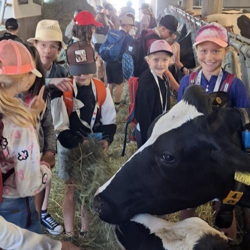 Regionstag am Weerberg 4a + 4b