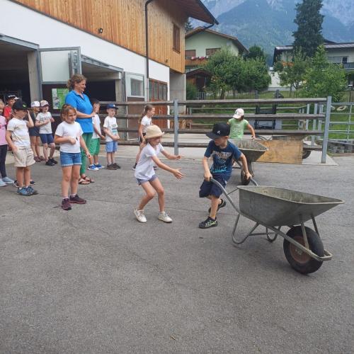 Schule am Bauernhof - Pungghof in Absam