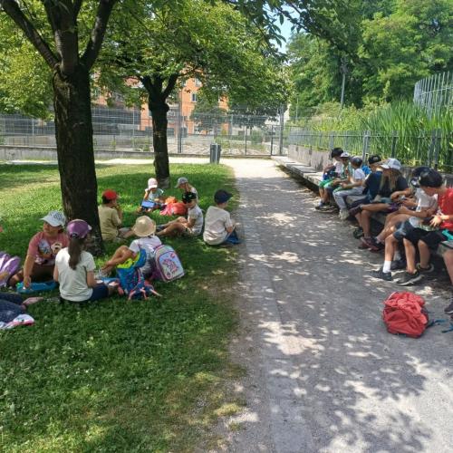 Schule am Bauernhof - Pungghof in Absam