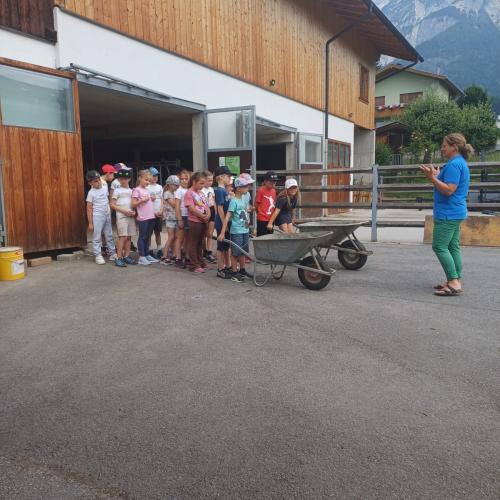 Schule am Bauernhof - Pungghof in Absam