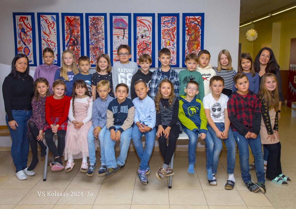 Klassenfoto 3a